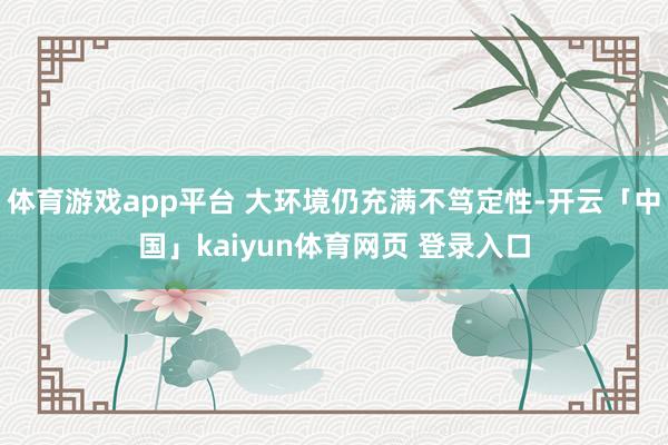 体育游戏app平台 大环境仍充满不笃定性-开云「中国」kaiyun体育网页 登录入口