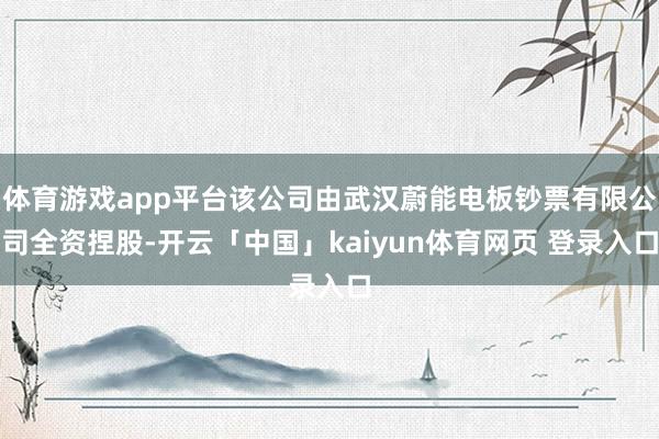 体育游戏app平台该公司由武汉蔚能电板钞票有限公司全资捏股-开云「中国」kaiyun体育网页 登录入口
