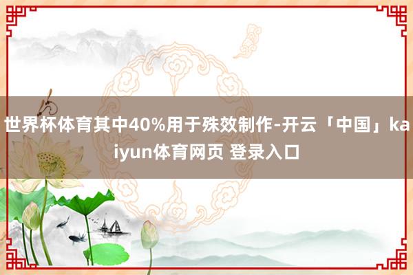 世界杯体育其中40%用于殊效制作-开云「中国」kaiyun体育网页 登录入口