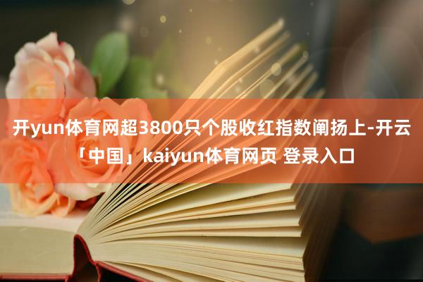 开yun体育网超3800只个股收红指数阐扬上-开云「中国」kaiyun体育网页 登录入口