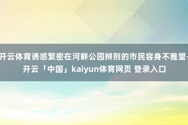开云体育诱惑繁密在河畔公园辨别的市民容身不雅望-开云「中国」kaiyun体育网页 登录入口
