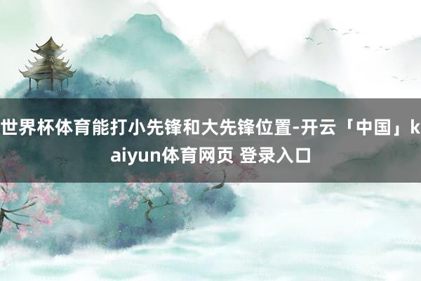 世界杯体育能打小先锋和大先锋位置-开云「中国」kaiyun体育网页 登录入口